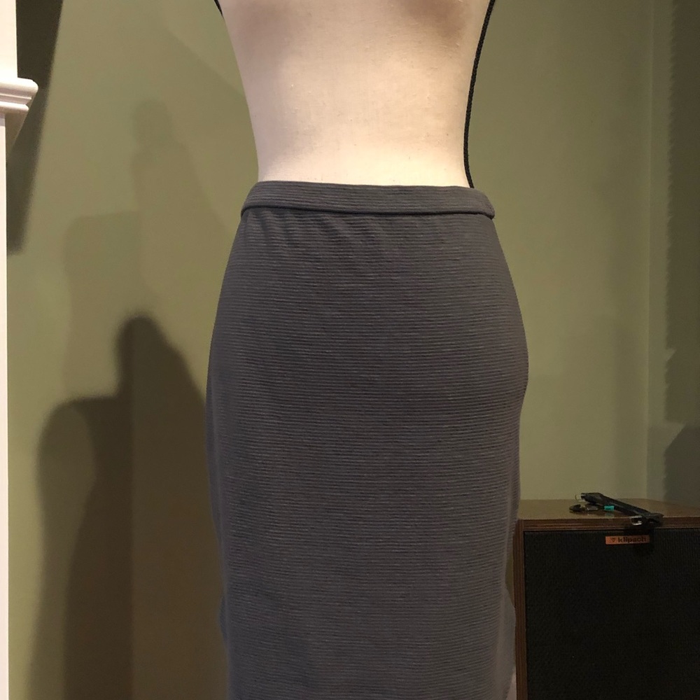 NWT Banana Republic petite small skirt!, SP